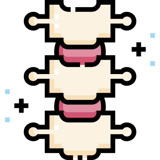 脊椎 Detailed Straight Lineal color icon