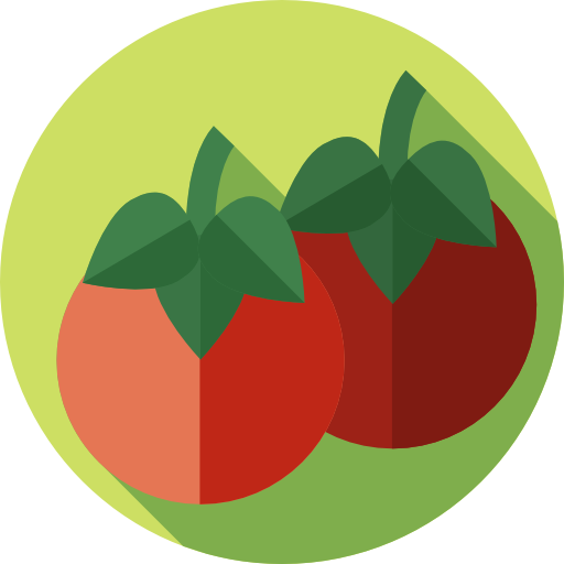 tomate Flat Circular Flat icon