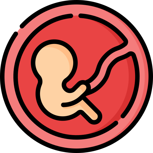 Fetus Special Lineal color icon