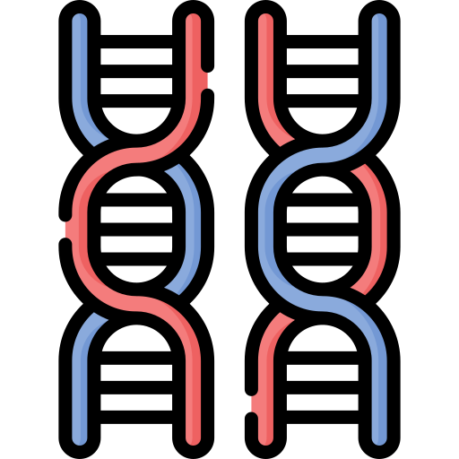 dna Special Lineal color icon