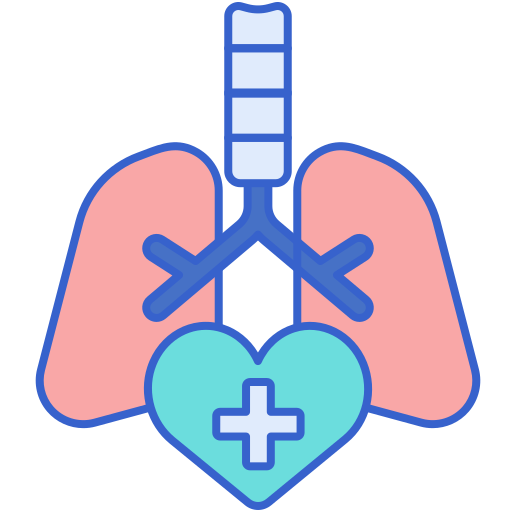 atmungssystem Flaticons Lineal Color icon