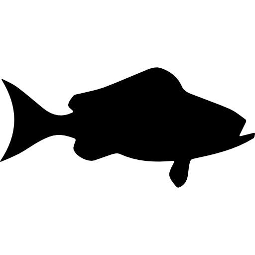 Fish Black Grouper side view  icon