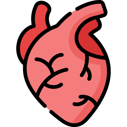 Heart Special Lineal color icon