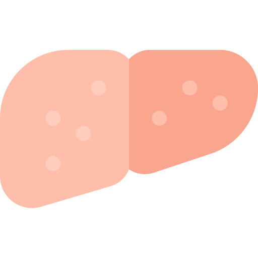 cirrhose Basic Rounded Flat Icône