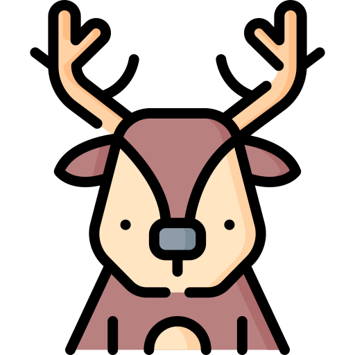 Deer Special Lineal color icon