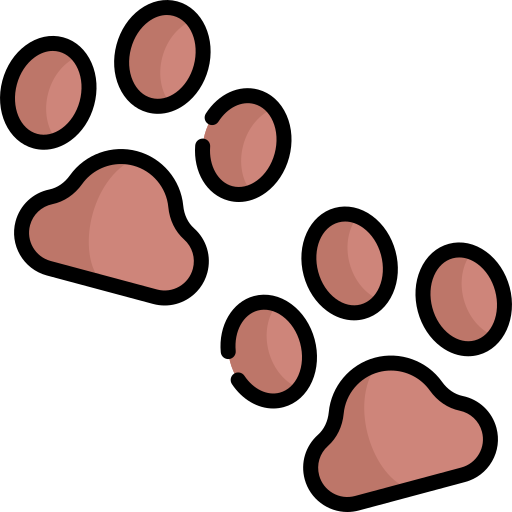 Pawprint Kawaii Lineal color icon