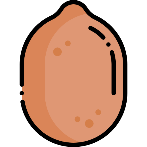 Kiwi Generic Outline Color icon