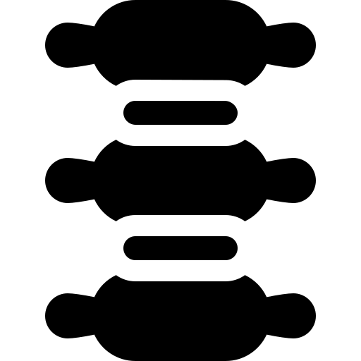 coluna vertebral Basic Straight Filled Ícone