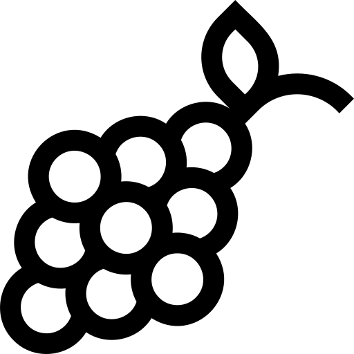 raisins Basic Straight Lineal Icône