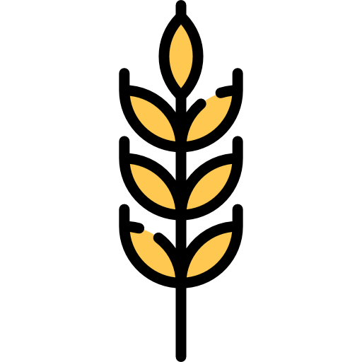 Wheat Special Lineal color icon