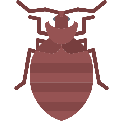 Bug Coloring Flat icon