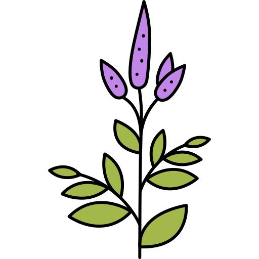 Flower Generic Outline Color icon