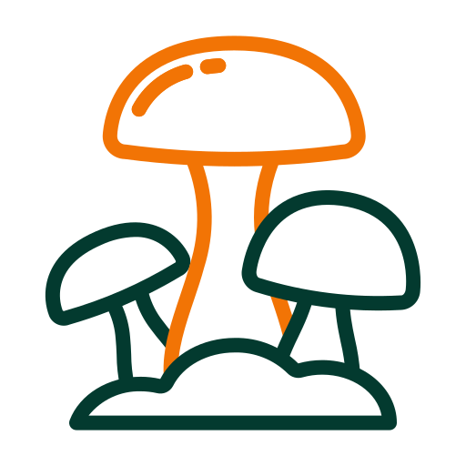 Mushroom Generic Others icon