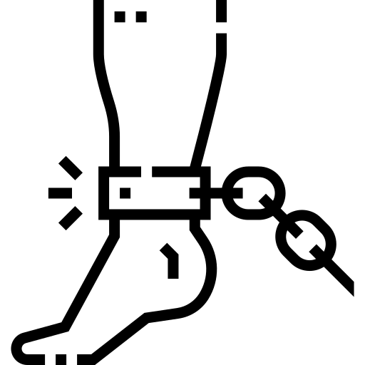 trimer Detailed Straight Lineal Icône