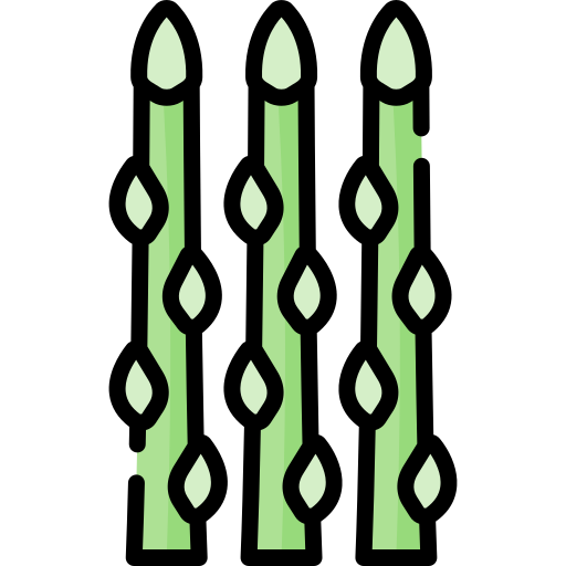 spargel Special Lineal color icon