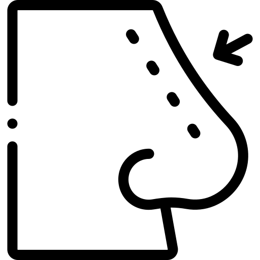 Rhinoplasty Detailed Rounded Lineal icon