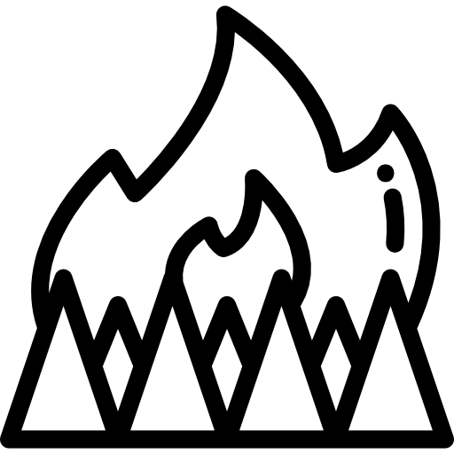 feu Detailed Rounded Lineal Icône