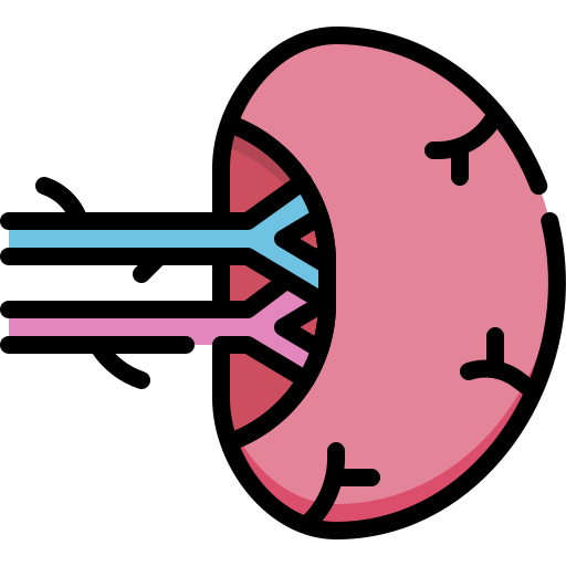 rate Generic Outline Color Icône