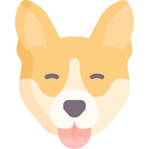 corgi Special Flat Ícone