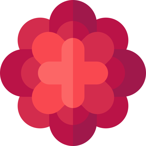 ringelblume Basic Straight Flat icon