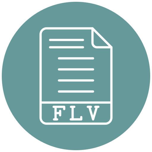 flv Generic Flat icon