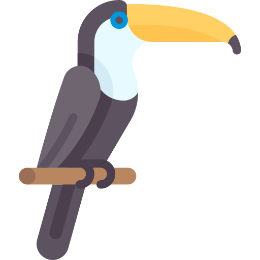 toucan Special Flat Icône