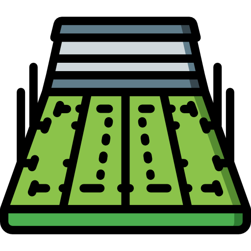 Rugby pitch Basic Miscellany Lineal Color icon