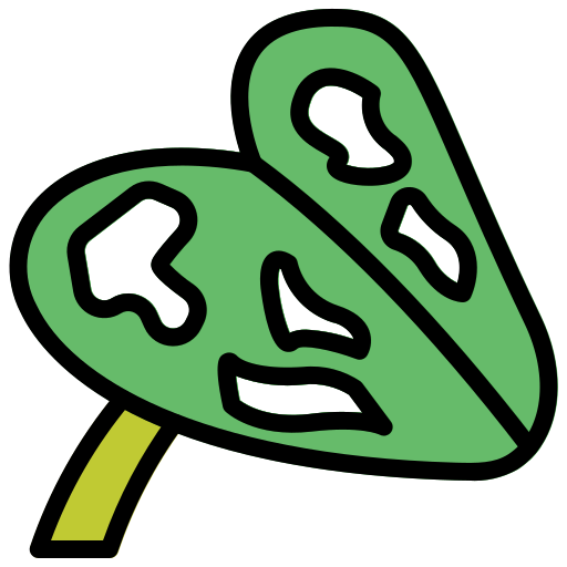 monstera Generic Outline Color icon