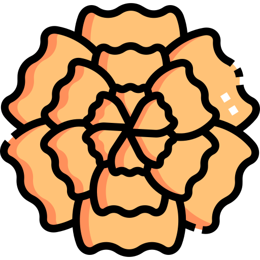 calendula Detailed Straight Lineal color icona