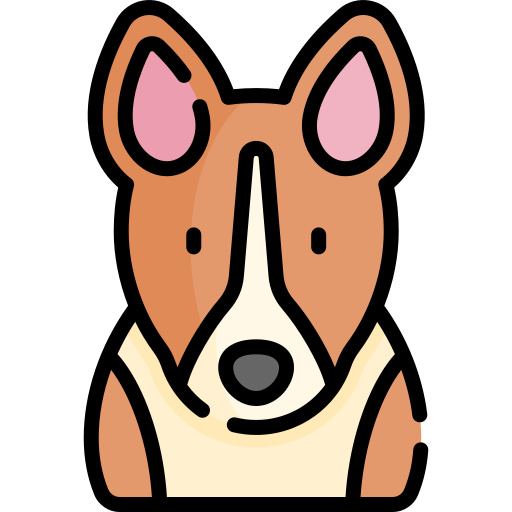 basenji Kawaii Lineal color icon