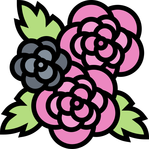 rose Meticulous Lineal Color icon