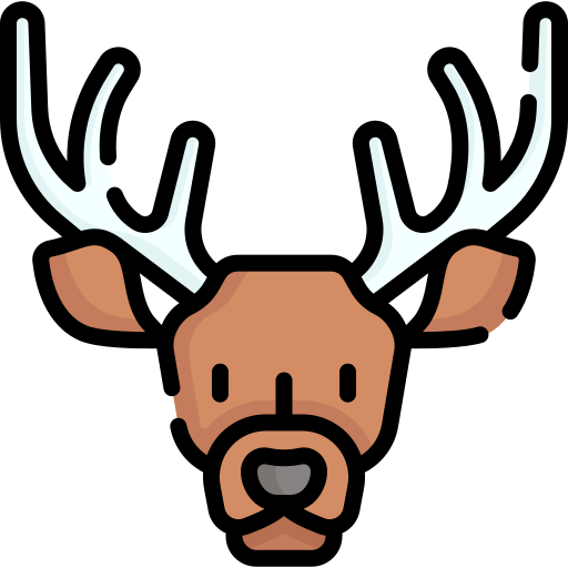 Deer Special Lineal color icon