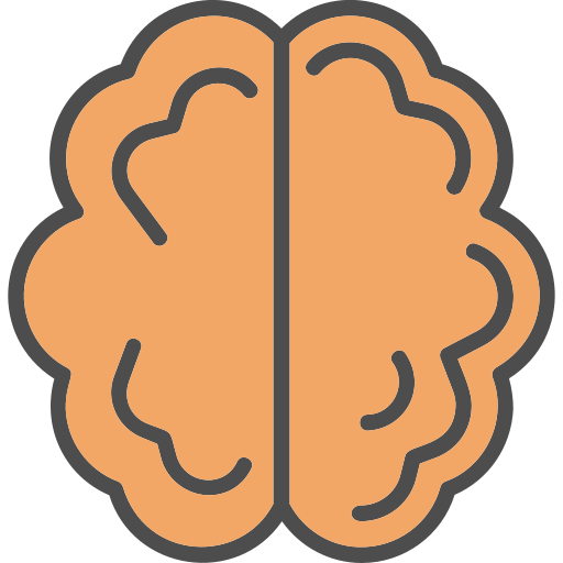 Brain Generic Outline Color icon