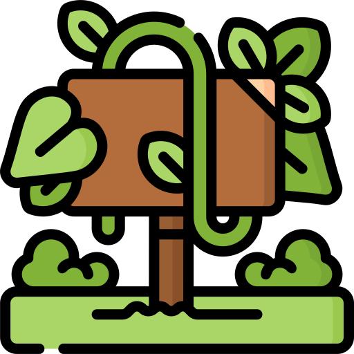 Forest Special Lineal color icon