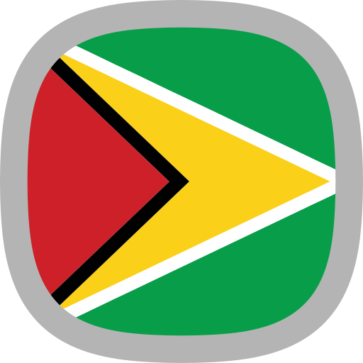 guyana Generic Flat icon