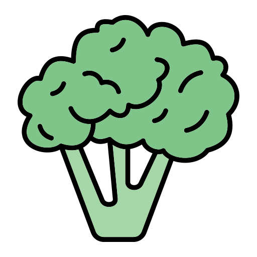 Broccoli Generic Outline Color icon