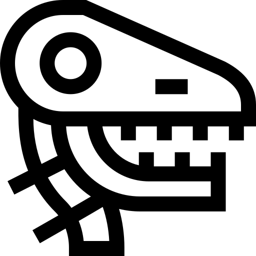 schedel Basic Straight Lineal icoon