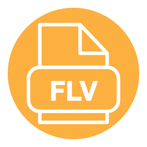 flv Generic Flat icon