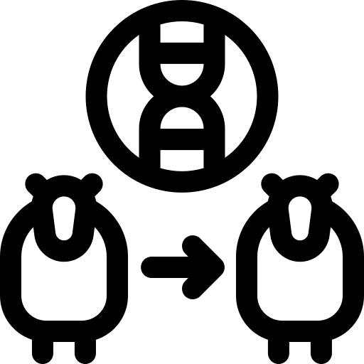 clonagem Basic Rounded Lineal Ícone