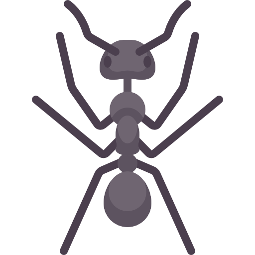 Ant Special Flat icon