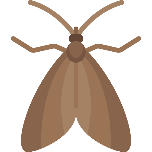 Moth Special Flat icon