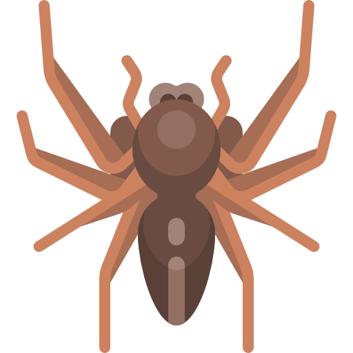 Spider Special Flat icon