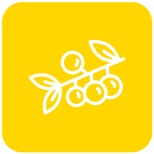 beeren Generic Square icon