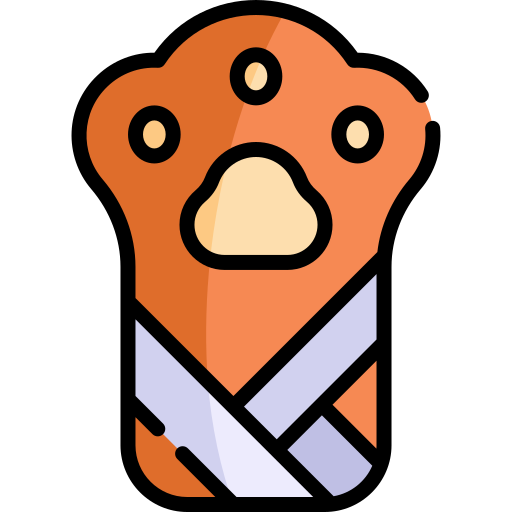 Bandage Kawaii Lineal color icon