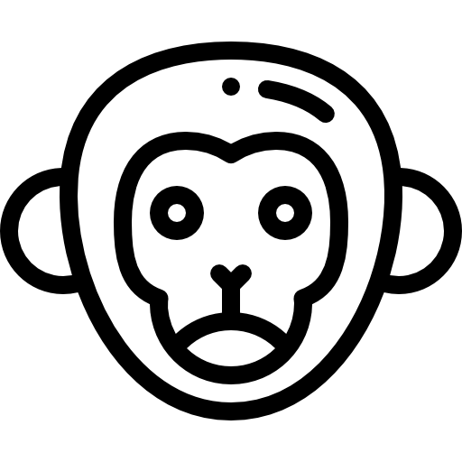 aap Detailed Rounded Lineal icoon