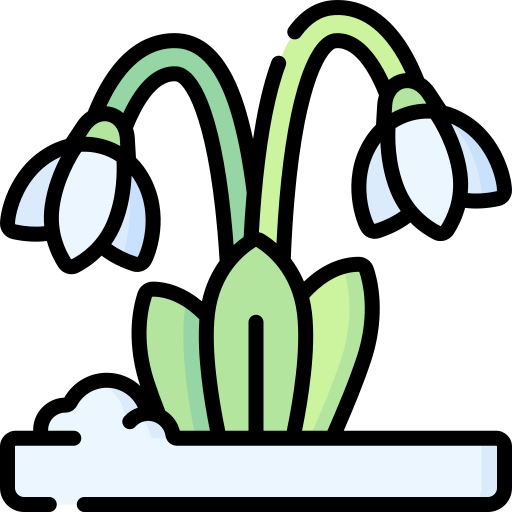 Snowdrop Special Lineal color icon