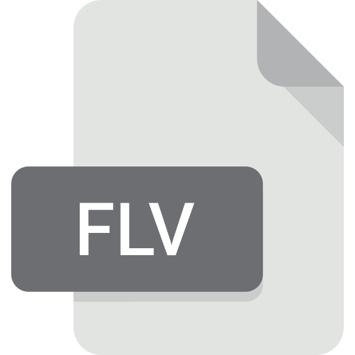 flv Generic color fill icon