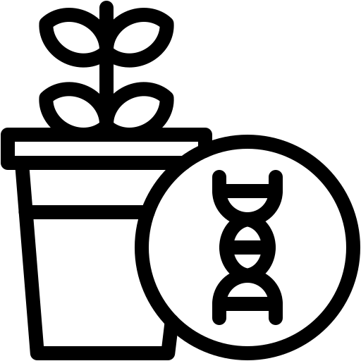 gvo Generic black outline icon