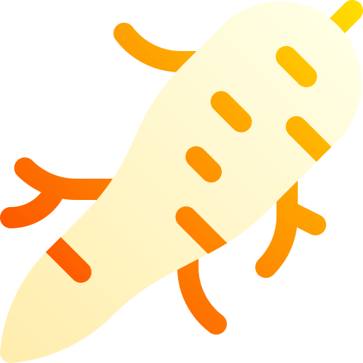 ginseng Basic Gradient Gradient icona