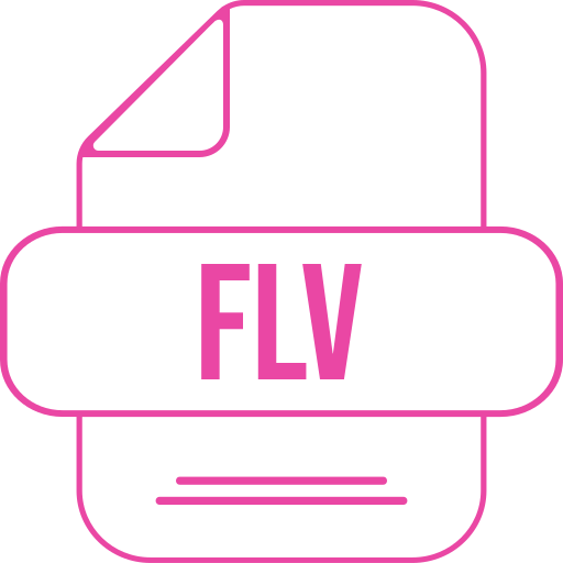 flv Generic color lineal-color icon